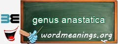 WordMeaning blackboard for genus anastatica